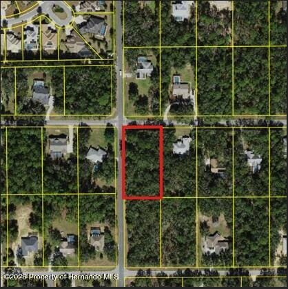 980 W Olympia St, Hernando, FL 33442