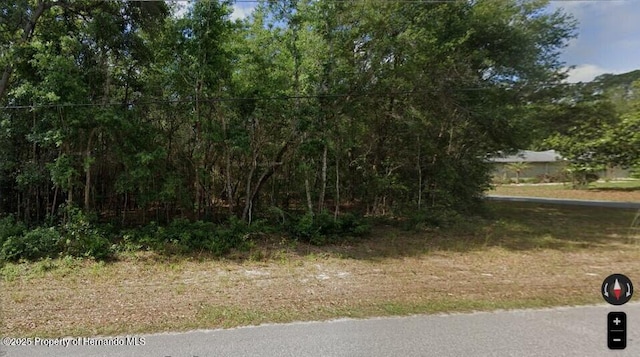 980 W Olympia St, Hernando, FL 33442