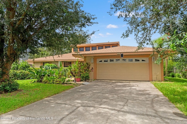 23302 Lucerne Pl, Land O Lakes, FL 34639 - photo 1