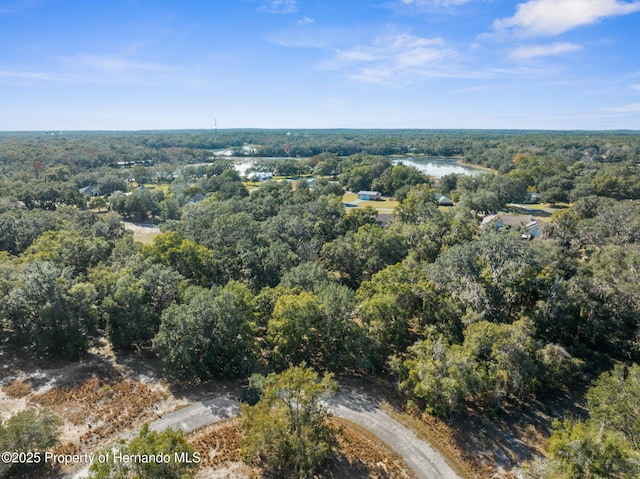 4160 S Kenvera Loop, Inverness, FL 34450 - photo 3
