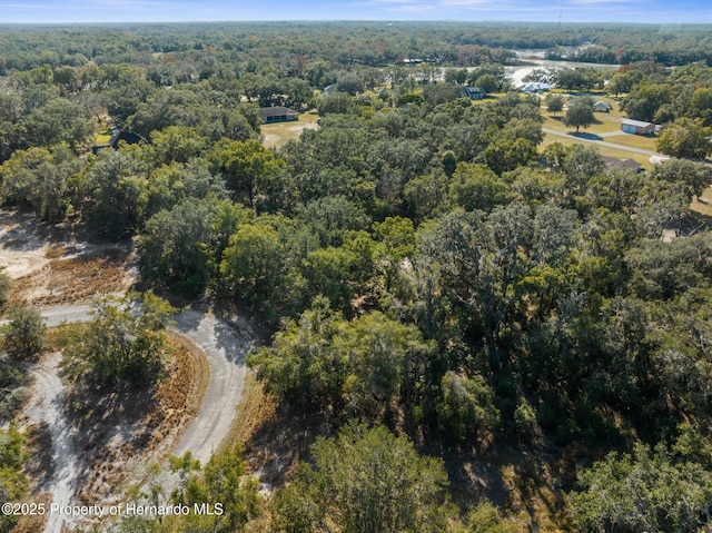 4160 S Kenvera Loop, Inverness, FL 34450 - photo 4