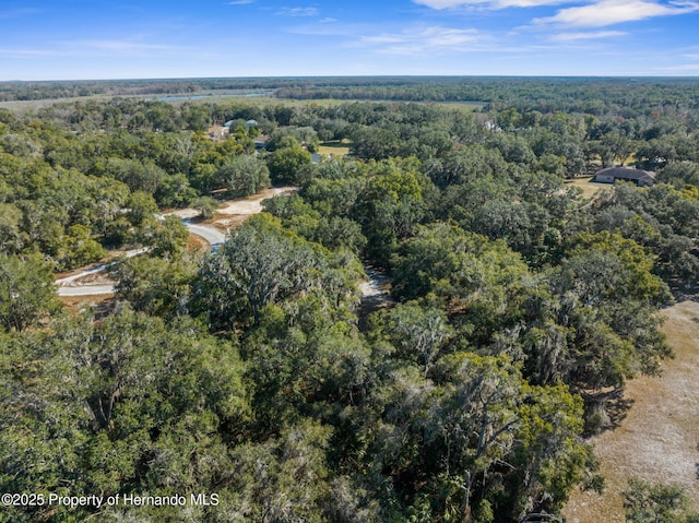 4160 S Kenvera Loop, Inverness, FL 34450 - photo 5