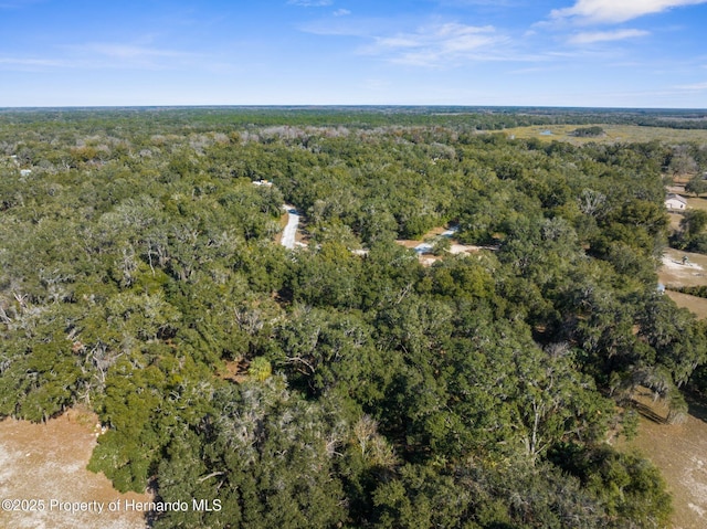 4160 S Kenvera Loop, Inverness, FL 34450 - photo 6