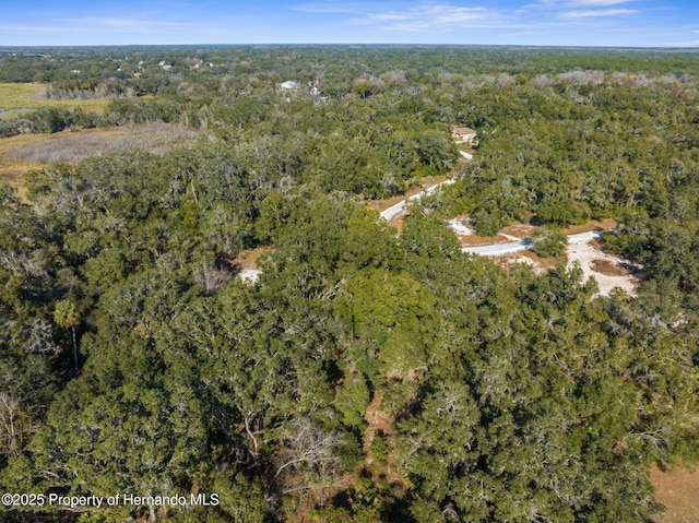 4160 S Kenvera Loop, Inverness, FL 34450 - photo 7