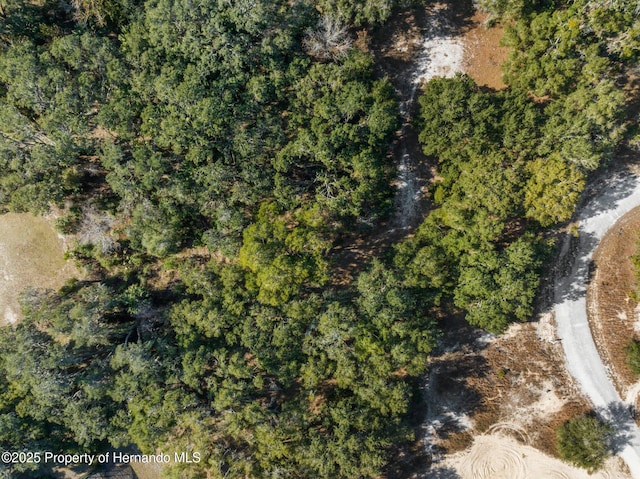 4160 S Kenvera Loop, Inverness, FL 34450 - photo 10