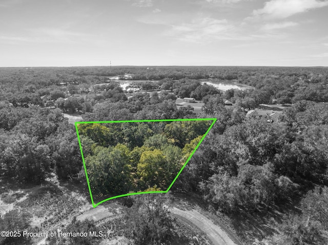 4160 S Kenvera Loop, Inverness, FL 34450 - photo 12