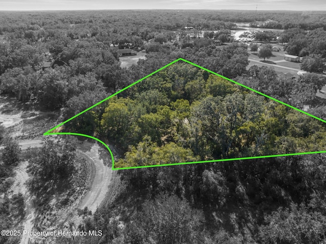 4160 S Kenvera Loop, Inverness, FL 34450 - photo 2