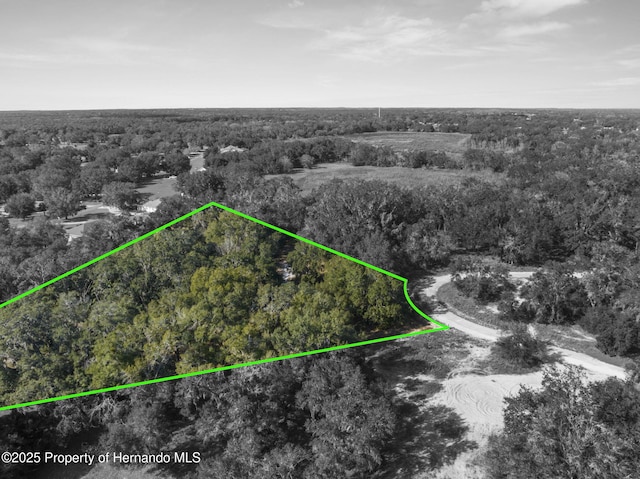 4160 S Kenvera Loop, Inverness, FL 34450 - photo 13