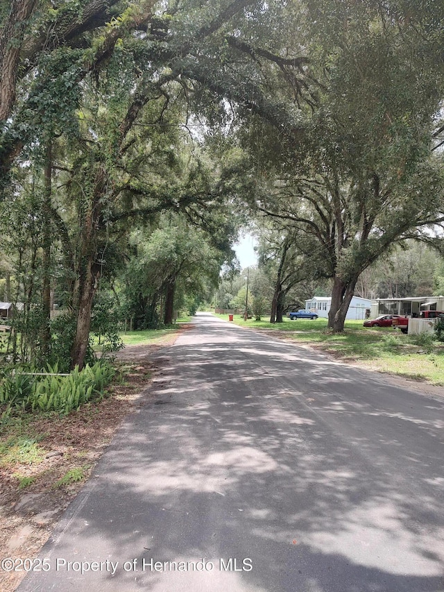 4175 S Illiana Ter, Inverness, FL 34452 - photo 2