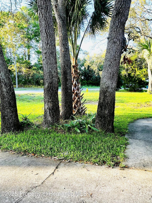 7928 Rhanbouy Rd, Spring Hill, FL 34606 - photo 25