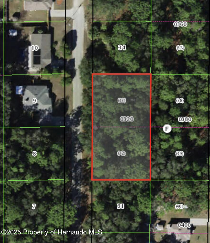 8646 N Discalfani Loop, Crystal River, FL 34428 - photo 1