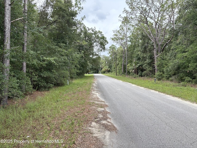 8646 N Discalfani Loop, Crystal River, FL 34428 - photo 2