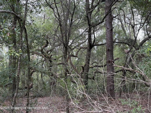 8646 N Discalfani Loop, Crystal River, FL 34428 - photo 4