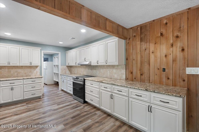 1518 Palm St, Steinhatchee, FL 32359 - kitchen featuring stainless steel range with electric cooktop, freestanding refrigerator, white cabinetry, tasteful backsplash, and under cabinet range hood
