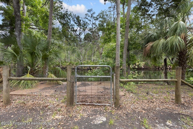 1518 Palm St, Steinhatchee, FL 32359 - view of gate