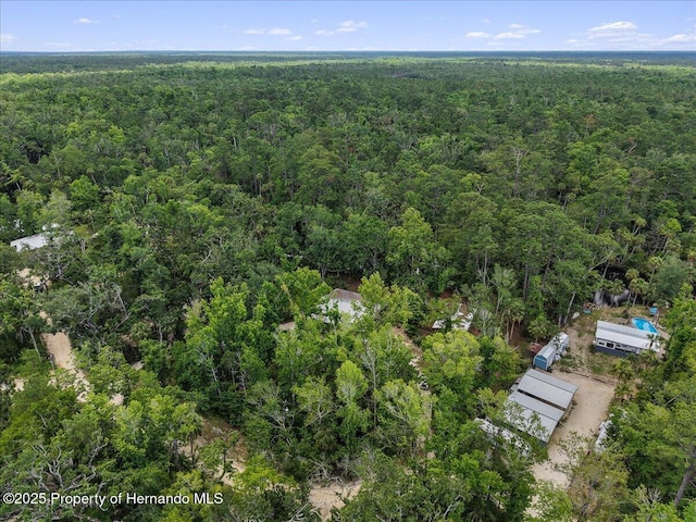 1518 Palm St, Steinhatchee, FL 32359 - bird's eye view of a forest