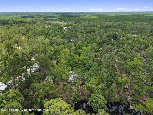 1518 Palm St, Steinhatchee, FL 32359 - aerial overview of property's location with a forest