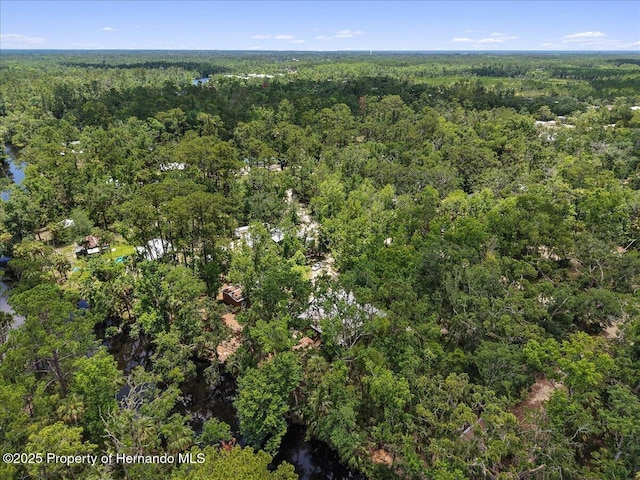 1518 Palm St, Steinhatchee, FL 32359 - aerial overview of property's location with a forest