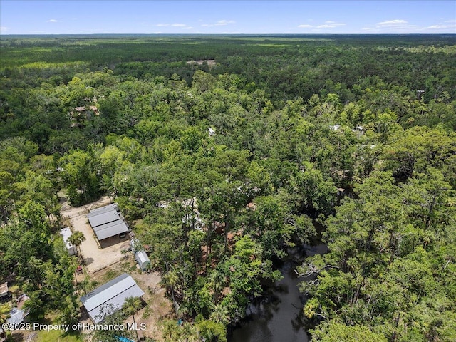 1518 Palm St, Steinhatchee, FL 32359 - aerial view of a heavily wooded area