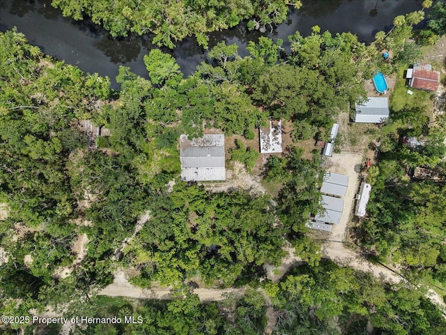 1518 Palm St, Steinhatchee, FL 32359 - aerial view of property and surrounding area featuring a nearby body of water