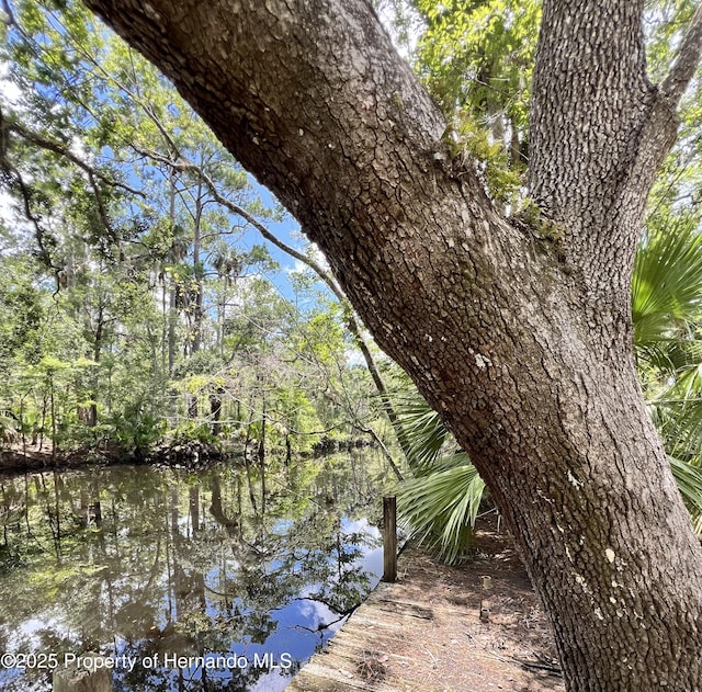 1518 Palm St, Steinhatchee, FL 32359 - photo 3