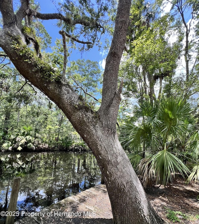 1518 Palm St, Steinhatchee, FL 32359 - photo 6