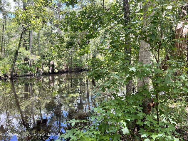 1518 Palm St, Steinhatchee, FL 32359 - photo 5