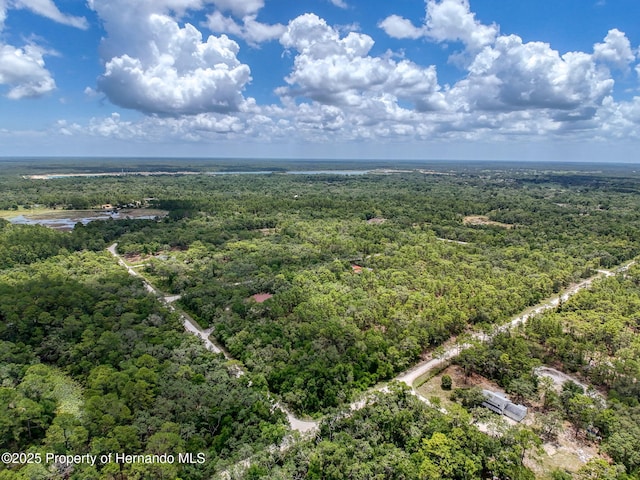 0 Norway St, Webster, FL 33597 - photo 1