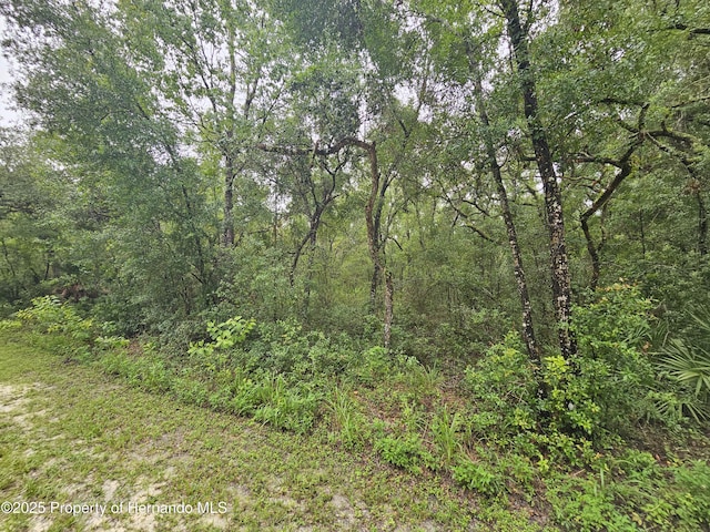 0 Norway St, Webster, FL 33597 - photo 2