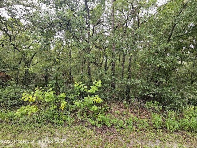 0 Norway St, Webster, FL 33597 - photo 9