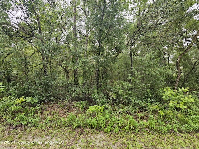 0 Norway St, Webster, FL 33597 - photo 10