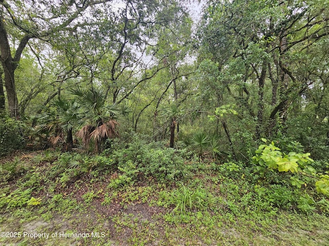 0 Norway St, Webster, FL 33597 - photo 8