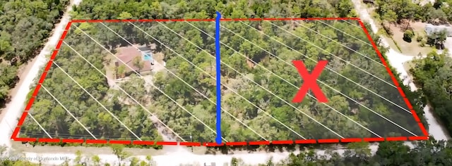 0 Norway St, Webster, FL 33597 - photo 11