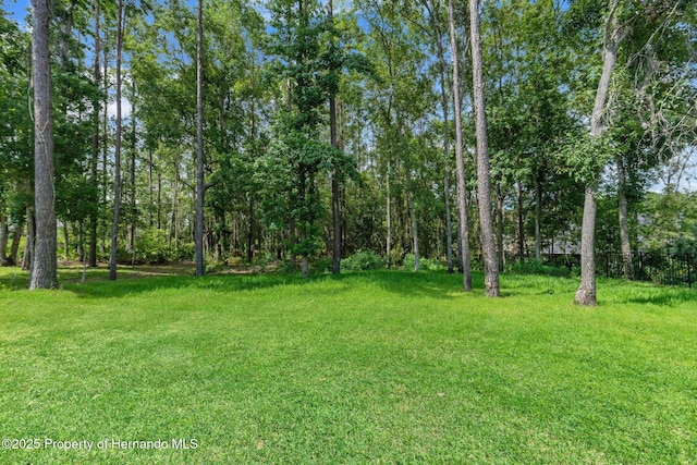 4716 Hickory Oak Dr, Brooksville, FL 34601 - photo 47