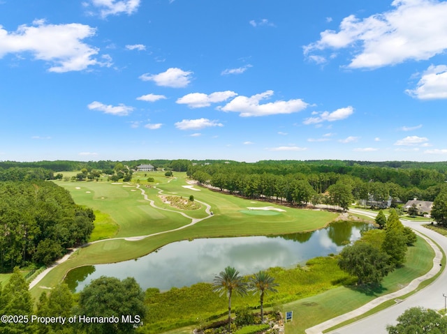 4716 Hickory Oak Dr, Brooksville, FL 34601 - photo 58