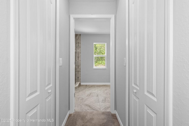 12128 Petrel Ave, Brooksville, FL 34614 - hallway with baseboards and carpet