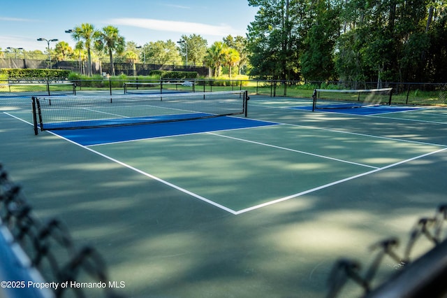 4675 Hickory Oak Dr, Brooksville, FL 34601 - photo 54