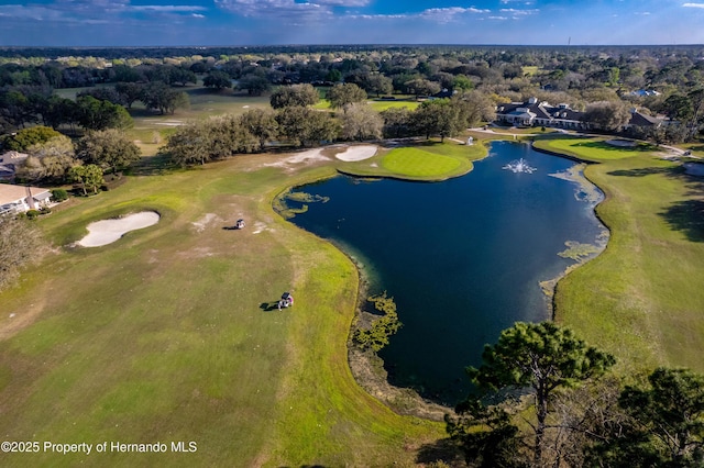 5021 Championship Cup Ln, Brooksville, FL 34609 - photo 45