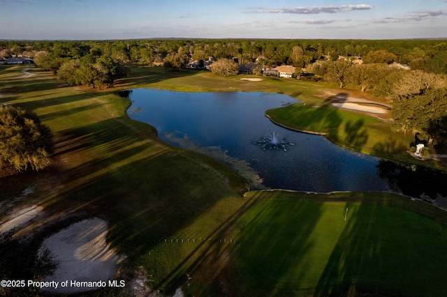 5021 Championship Cup Ln, Brooksville, FL 34609 - photo 83