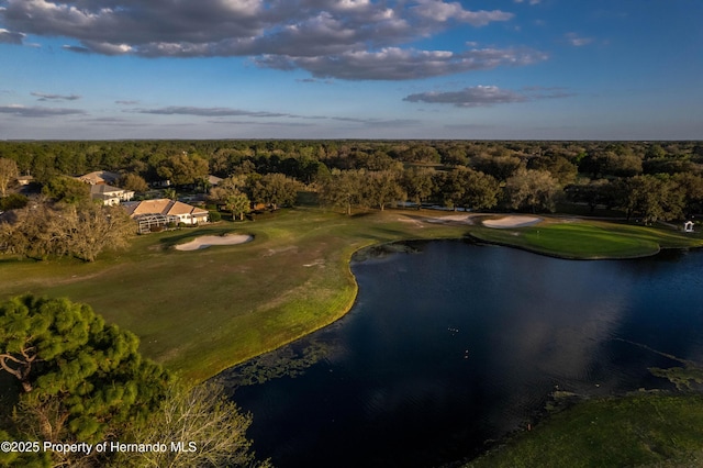 5021 Championship Cup Ln, Brooksville, FL 34609 - photo 86