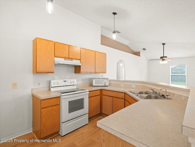 6098 Parnell Ave, Spring Hill, FL 34608 - photo 4