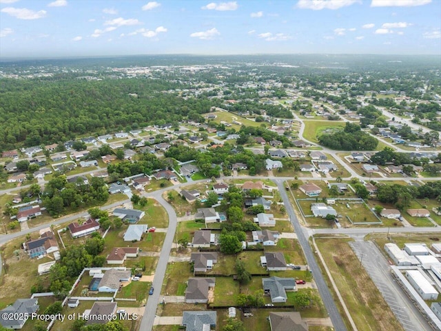 6098 Parnell Ave, Spring Hill, FL 34608 - photo 38