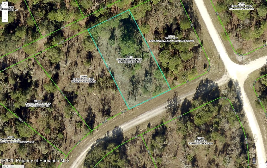 16167 Sheldrake Loop, Weeki Wachee, FL 34614 - photo 1