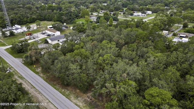 18933 Old Shady Hills Rd, Spring Hill Pasco, FL 34610
