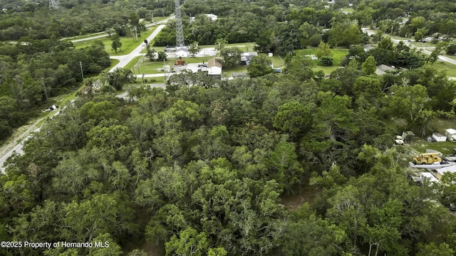 18933 Old Shady Hills Rd, Spring Hill Pasco, FL 34610