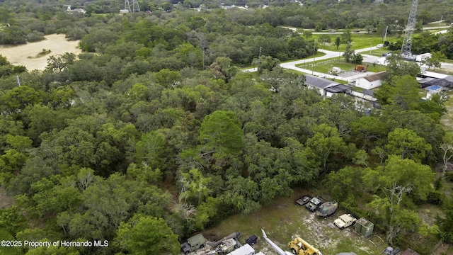 18933 Old Shady Hills Rd, Spring Hill Pasco, FL 34610
