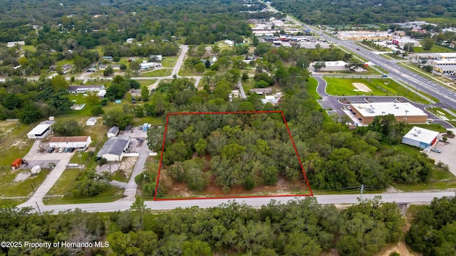 18933 Old Shady Hills Rd, Spring Hill Pasco, FL 34610