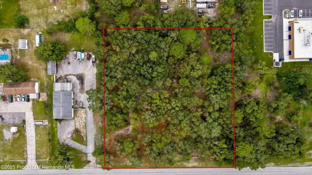 18933 Old Shady Hills Rd, Spring Hill Pasco, FL 34610