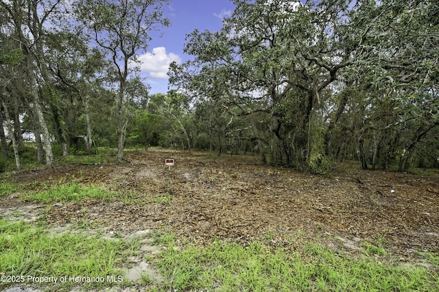18933 Old Shady Hills Rd, Spring Hill Pasco, FL 34610
