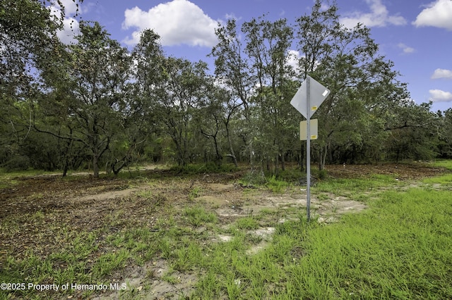 18933 Old Shady Hills Rd, Spring Hill Pasco, FL 34610
